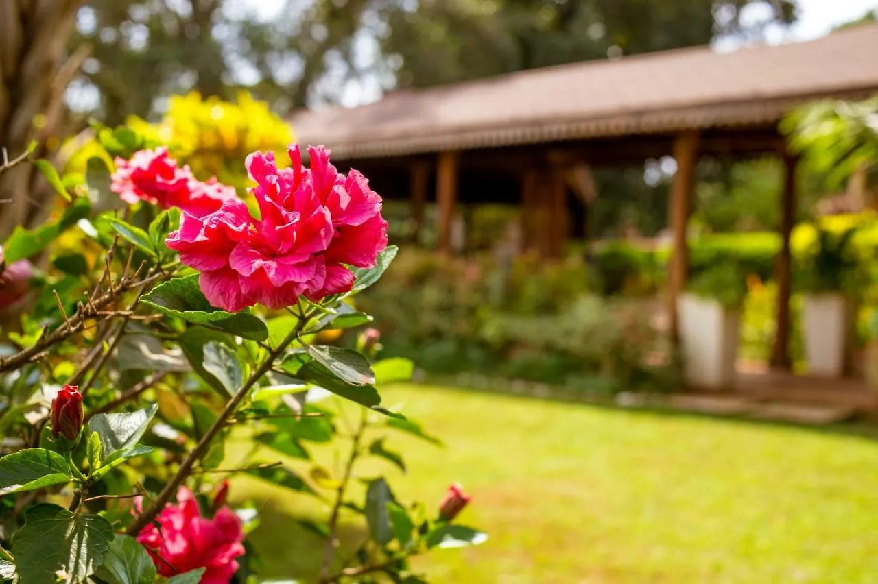 Hotell Villa Kololo Kampala